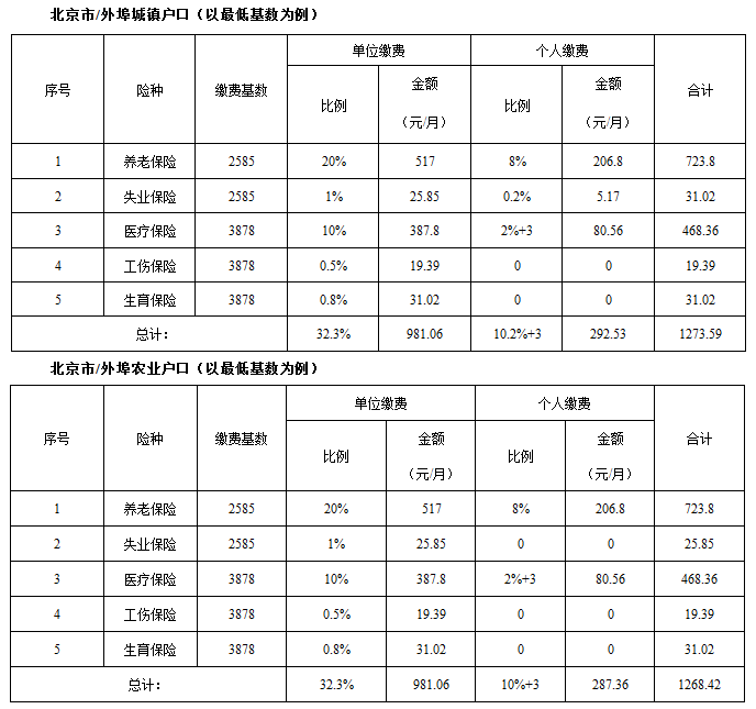 2016年北京市社保缴费 单位个人明细表